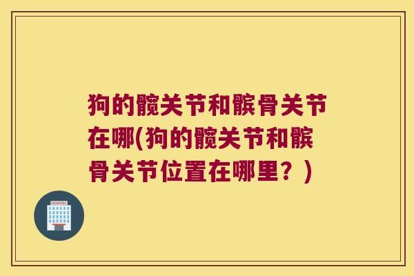 狗的髋关节和髌骨关节在哪(狗的髋关节和髌骨关节位置在哪里?) 狗的髋关节和髌骨关节在哪(狗的髋关节和髌骨关节位置在哪里?)