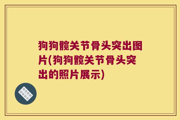 狗狗髋关节骨头突出图片(狗狗髋关节骨头突出的照片展示)