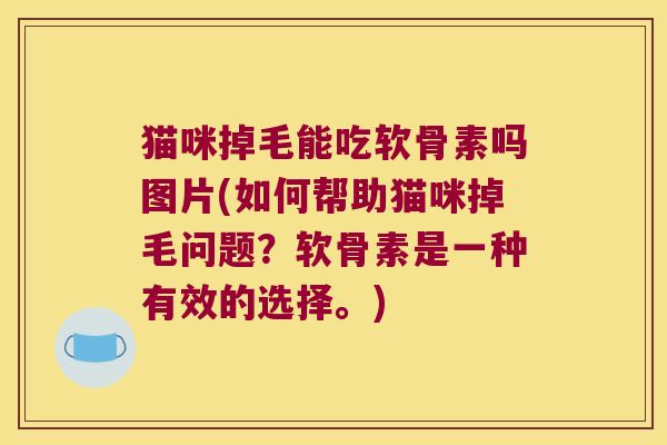 猫咪掉毛能吃软骨素吗图片(如何帮助猫咪掉毛问题?软骨素是一种有效的选择。)