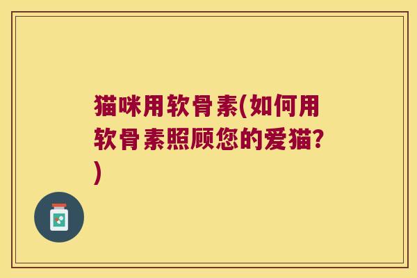 猫咪用软骨素(如何用软骨素照顾您的爱猫?)