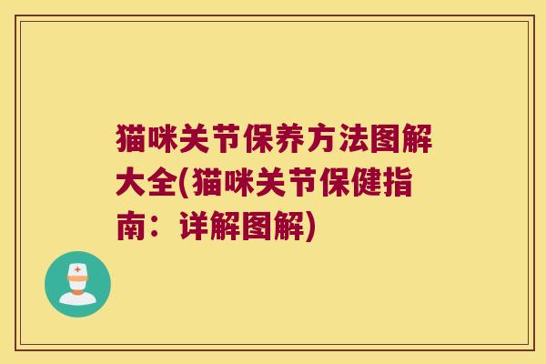 猫咪关节保养方法图解大全(猫咪关节保健指南:详解图解)