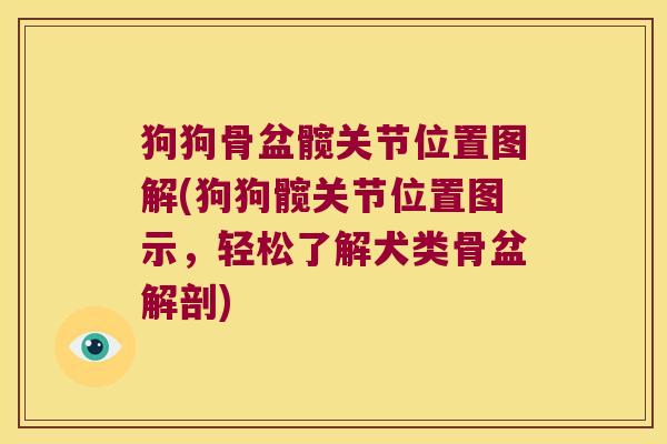 狗狗骨盆髋关节位置图解(狗狗髋关节位置图示,轻松了解犬类骨盆解剖)