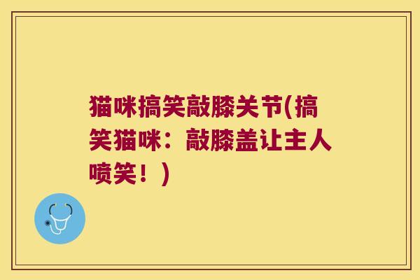 猫咪搞笑敲膝关节(搞笑猫咪:敲膝盖让主人喷笑!)