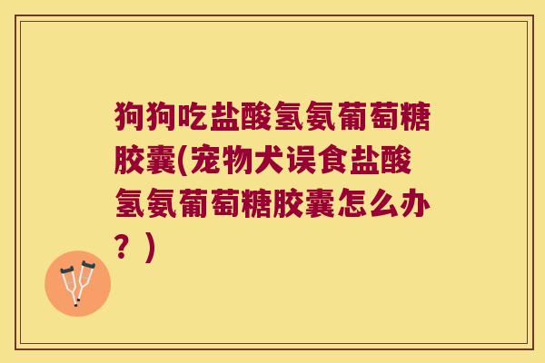 狗狗吃盐酸氢氨葡萄糖胶囊(宠物犬误食盐酸氢氨葡萄糖胶囊怎么办？)