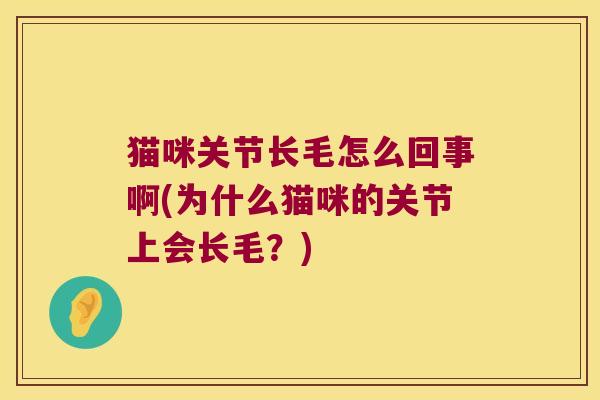 猫咪关节长毛怎么回事啊(为什么猫咪的关节上会长毛?)