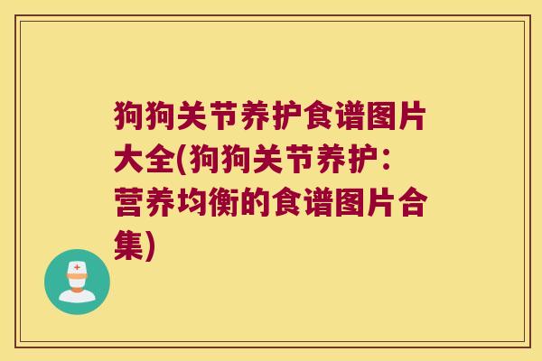 狗狗关节养护食谱图片大全(狗狗关节养护:营养均衡的食谱图片合集)