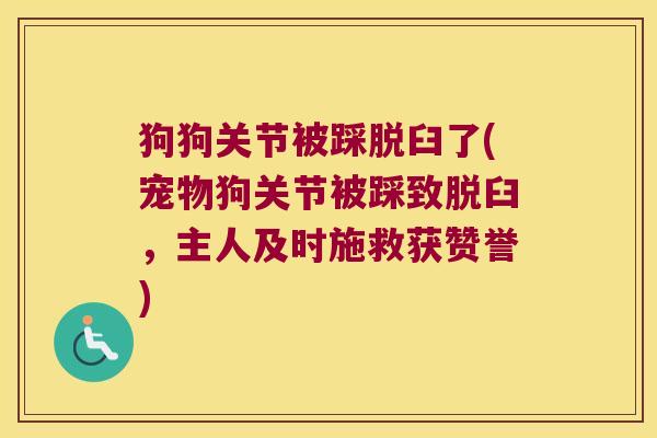 狗狗关节被踩脱臼了(宠物狗关节被踩致脱臼,主人及时施救获赞誉)