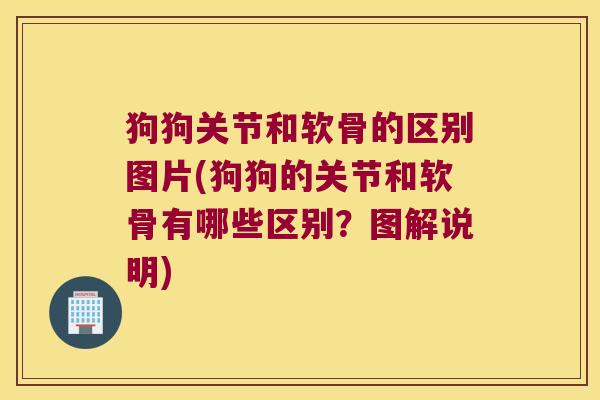 狗狗关节和软骨的区别图片(狗狗的关节和软骨有哪些区别?图解说明)