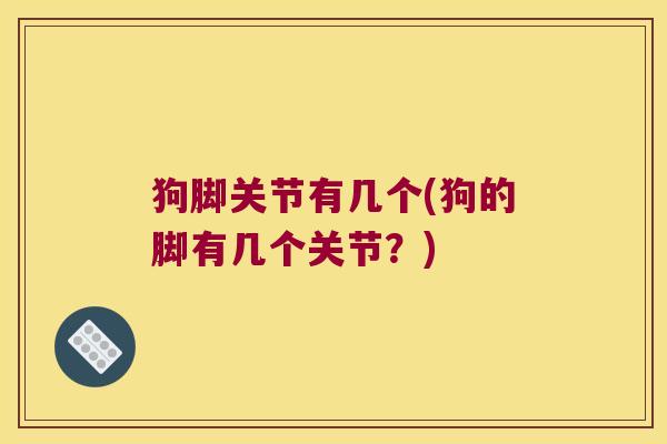 狗脚关节有几个(狗的脚有几个关节?)