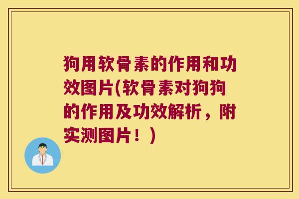 狗用软骨素的作用和功效图片(软骨素对狗狗的作用及功效解析,附实测图片!)