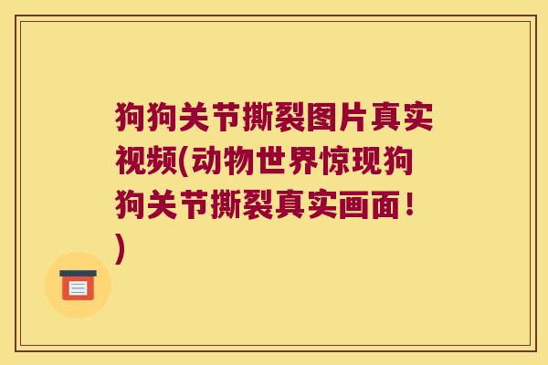 狗狗关节撕裂图片真实视频(动物世界惊现狗狗关节撕裂真实画面!) 狗狗关节撕裂图片真实视频(动物世界惊现狗狗关节撕裂真实画面!)