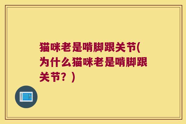 猫咪老是啃脚跟关节(为什么猫咪老是啃脚跟关节？)