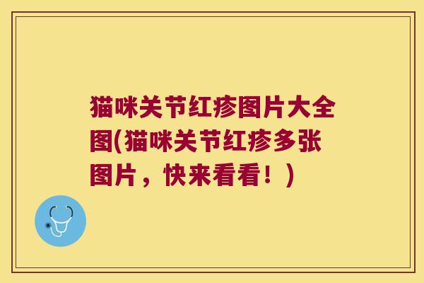 猫咪关节红疹图片大全图(猫咪关节红疹多张图片,快来看看!)