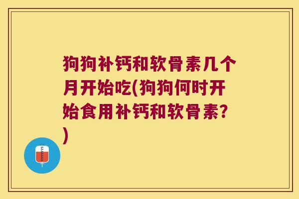 狗狗补钙和软骨素几个月开始吃(狗狗何时开始食用补钙和软骨素?)