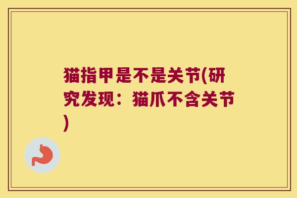 猫指甲是不是关节(研究发现:猫爪不含关节)