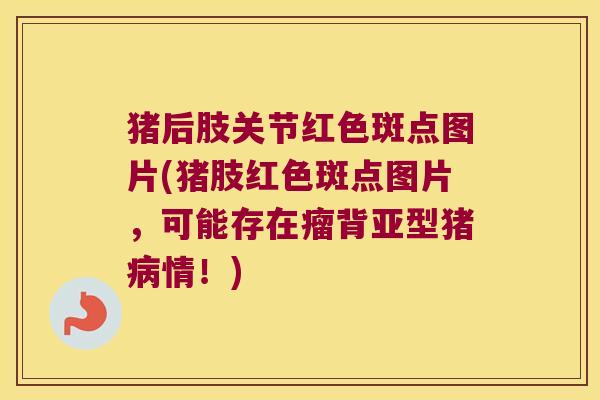 猪后肢关节红色斑点图片(猪肢红色斑点图片,可能存在瘤背亚型猪病情!)