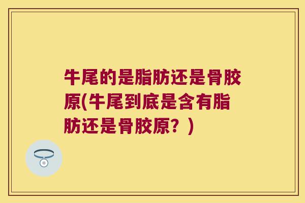 牛尾的是脂肪还是骨胶原(牛尾到底是含有脂肪还是骨胶原？)