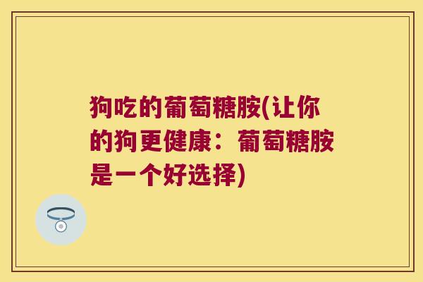 狗吃的葡萄糖胺(让你的狗更健康:葡萄糖胺是一个好选择)