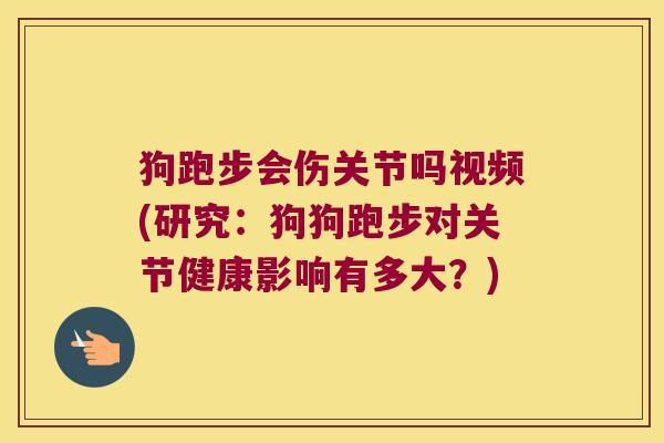 狗跑步会伤关节吗视频(研究:狗狗跑步对关节健康影响有多大?)