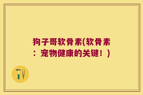 狗子哥软骨素(软骨素:宠物健康的关键!)