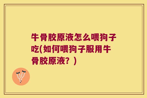 牛骨胶原液怎么喂狗子吃(如何喂狗子服用牛骨胶原液?)