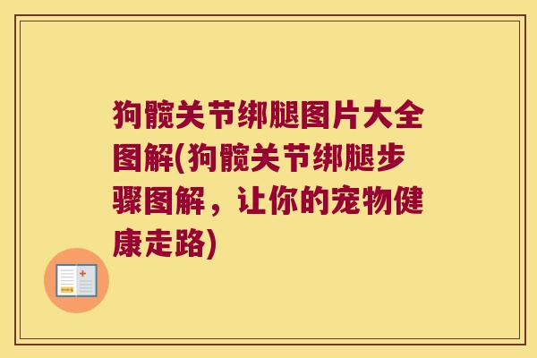 狗髋关节绑腿图片大全图解(狗髋关节绑腿步骤图解,让你的宠物健康走路)