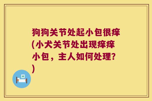 狗狗关节处起小包很痒(小犬关节处出现痒痒小包,主人如何处理?)