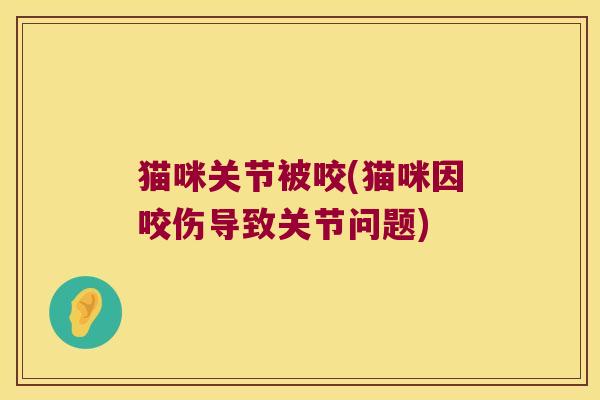 猫咪关节被咬(猫咪因咬伤导致关节问题)