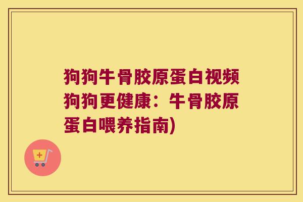狗狗牛骨胶原蛋白视频狗狗更健康:牛骨胶原蛋白喂养指南)