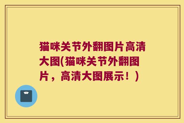 猫咪关节外翻图片高清大图(猫咪关节外翻图片,高清大图展示!)