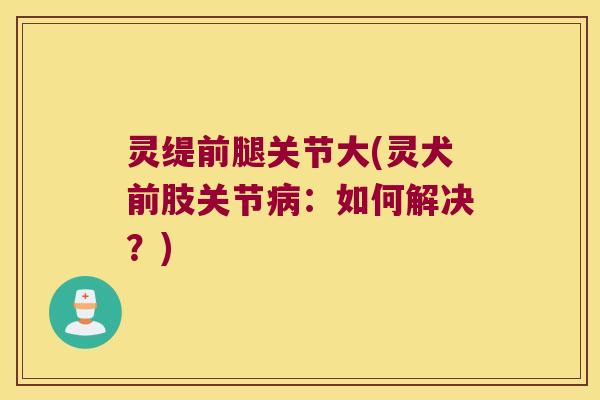 灵缇前腿关节大(灵犬前肢关节病:如何解决?)