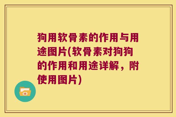 狗用软骨素的作用与用途图片(软骨素对狗狗的作用和用途详解,附使用图片) 狗用软骨素的作用与用途图片(软骨素对狗狗的作用和用途详解,附使用图片)