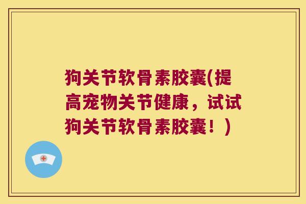 狗关节软骨素胶囊(提高宠物关节健康,试试狗关节软骨素胶囊!)