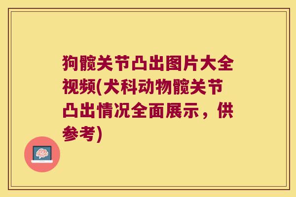 狗髋关节凸出图片大全视频(犬科动物髋关节凸出情况全面展示,供参考)
