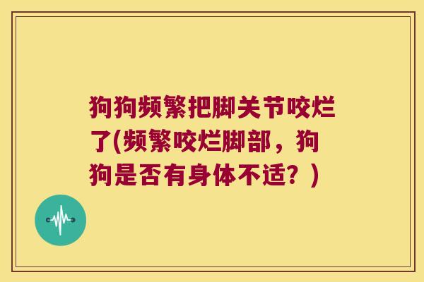 狗狗频繁把脚关节咬烂了(频繁咬烂脚部,狗狗是否有身体不适?)