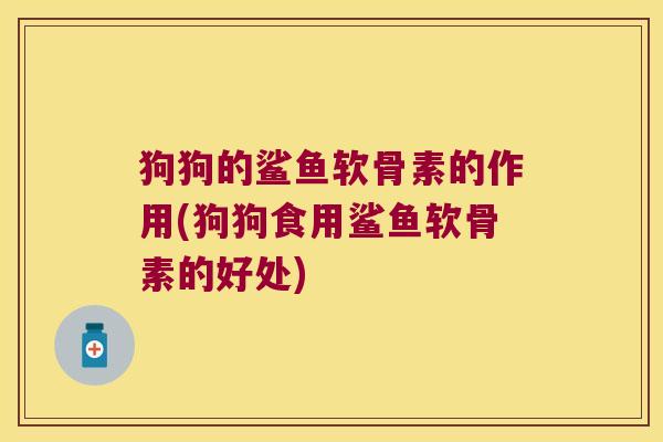 狗狗的鲨鱼软骨素的作用(狗狗食用鲨鱼软骨素的好处)
