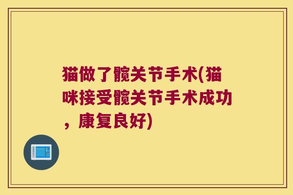 猫做了髋关节手术(猫咪接受髋关节手术成功,康复良好) 猫做了髋关节手术(猫咪接受髋关节手术成功,康复良好)