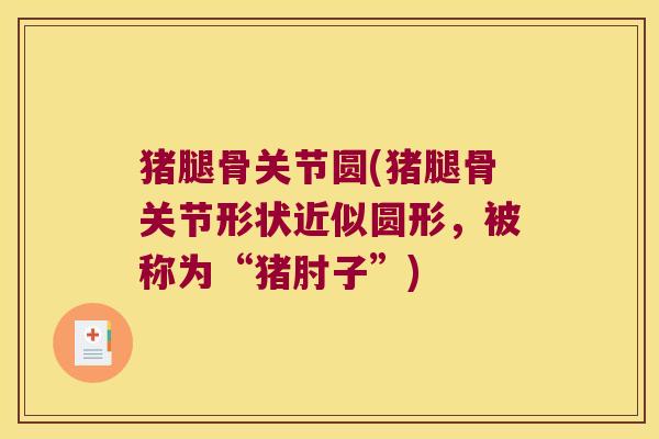 猪腿骨关节圆(猪腿骨关节形状近似圆形,被称为“猪肘子”)