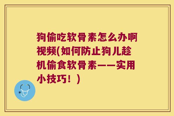 狗偷吃软骨素怎么办啊视频(如何防止狗儿趁机偷食软骨素——实用小技巧!)