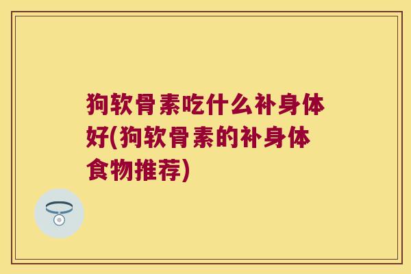 狗软骨素吃什么补身体好(狗软骨素的补身体食物推荐)