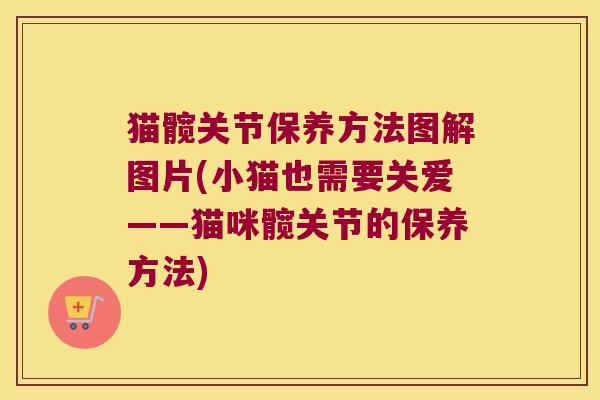 猫髋关节保养方法图解图片(小猫也需要关爱——猫咪髋关节的保养方法)