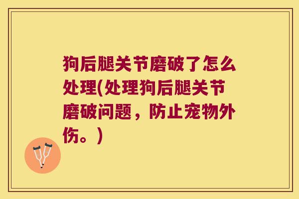 狗后腿关节磨破了怎么处理(处理狗后腿关节磨破问题,防止宠物外伤。)