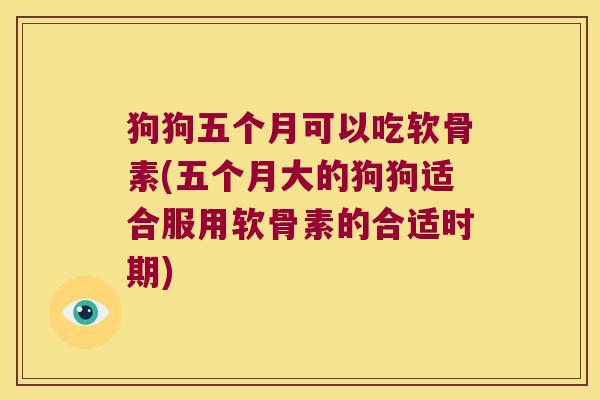狗狗五个月可以吃软骨素(五个月大的狗狗适合服用软骨素的合适时期)