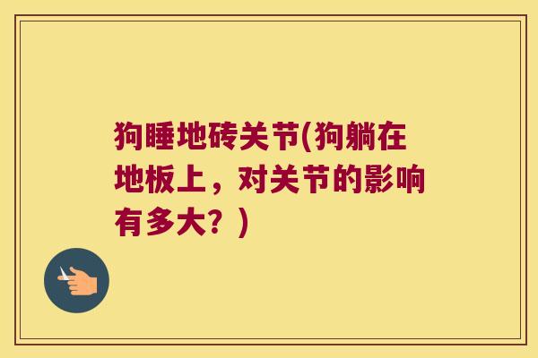 狗睡地砖关节(狗躺在地板上,对关节的影响有多大?)