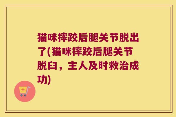 猫咪摔跤后腿关节脱出了(猫咪摔跤后腿关节脱臼,主人及时救治成功)