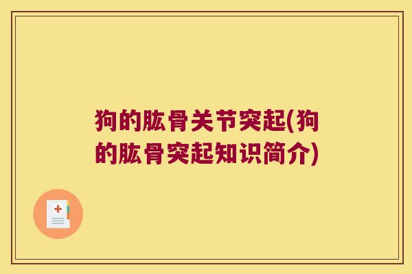狗的肱骨关节突起(狗的肱骨突起知识简介)
