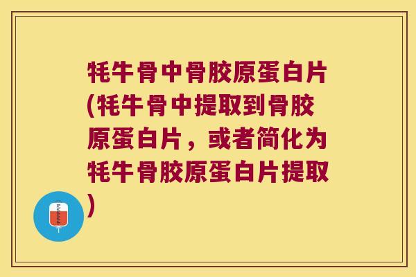 牦牛骨中骨胶原蛋白片(牦牛骨中提取到骨胶原蛋白片,或者简化为牦牛骨胶原蛋白片提取)