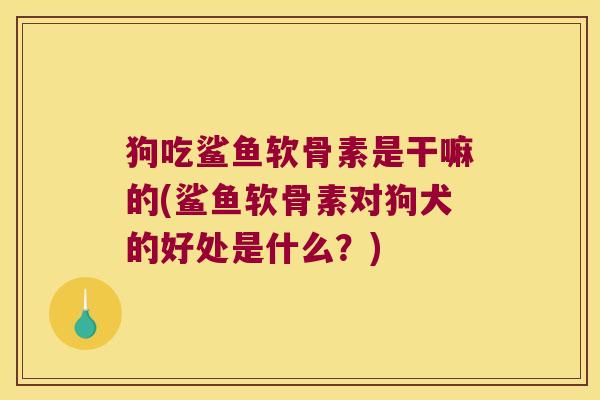 狗吃鲨鱼软骨素是干嘛的(鲨鱼软骨素对狗犬的好处是什么？)