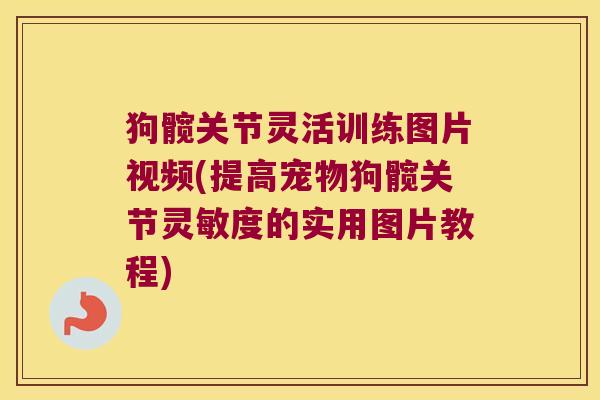 狗髋关节灵活训练图片视频(提高宠物狗髋关节灵敏度的实用图片教程)