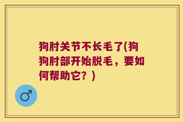 狗肘关节不长毛了(狗狗肘部开始脱毛,要如何帮助它?)